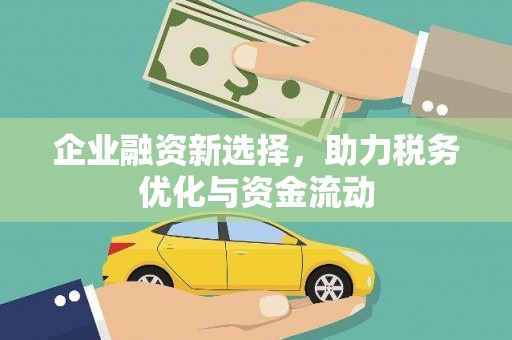 碌曲企业融资新选择，助力税务优化与资金流动
