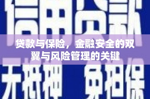 碌曲贷款与保险，金融安全的双翼与风险管理的关键