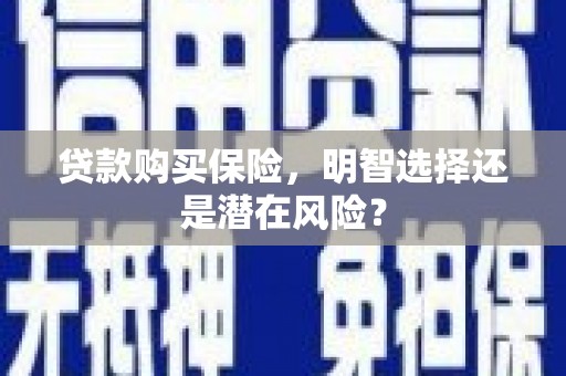 碌曲贷款购买保险，明智选择还是潜在风险？