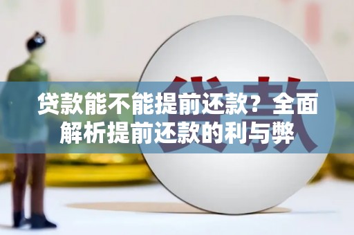 碌曲贷款能不能提前还款？全面解析提前还款的利与弊