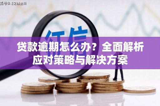 碌曲贷款逾期怎么办？全面解析应对策略与解决方案