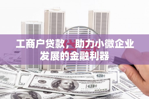 碌曲工商户贷款，助力小微企业发展的金融利器