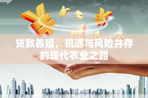 碌曲贷款养殖，机遇与风险并存的现代农业之路