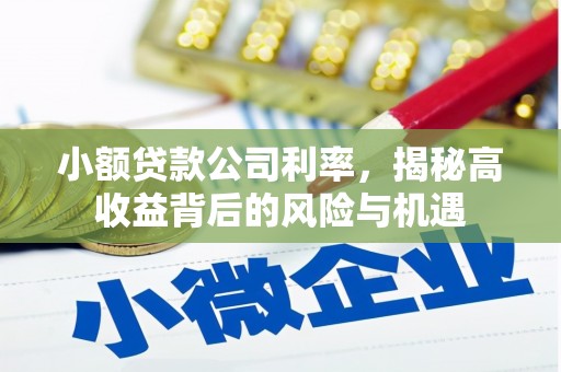 碌曲小额贷款公司利率，揭秘高收益背后的风险与机遇