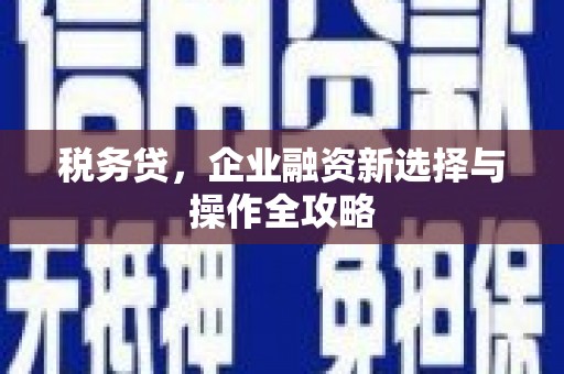 碌曲税务贷，企业融资新选择与操作全攻略
