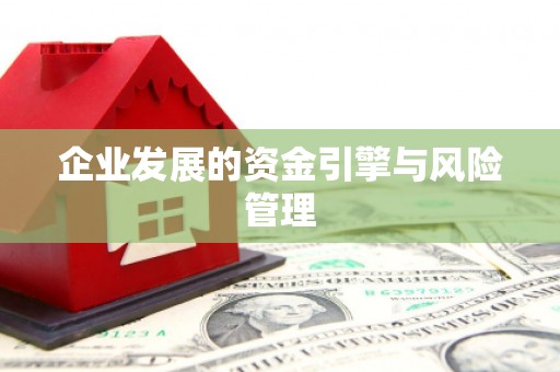 碌曲企业发展的资金引擎与风险管理