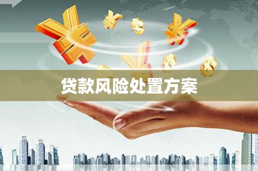 碌曲贷款风险处置方案