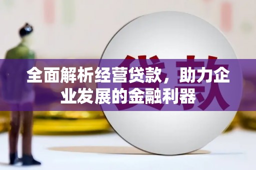 碌曲全面解析经营贷款，助力企业发展的金融利器