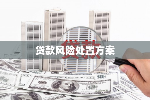 碌曲贷款风险处置方案