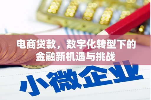 碌曲电商贷款，数字化转型下的金融新机遇与挑战