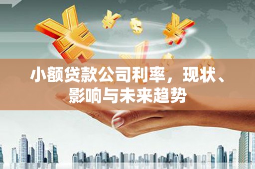 碌曲小额贷款公司利率，现状、影响与未来趋势