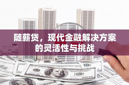 碌曲随薪贷，现代金融解决方案的灵活性与挑战