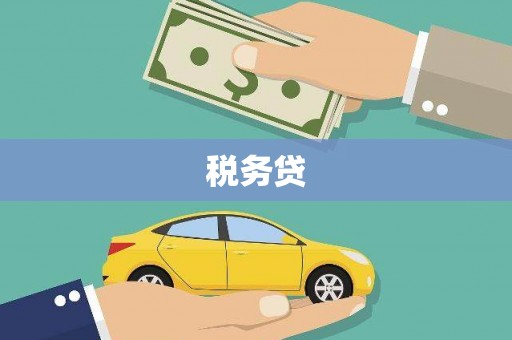 碌曲税务贷