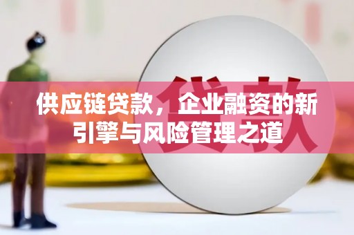 碌曲供应链贷款，企业融资的新引擎与风险管理之道