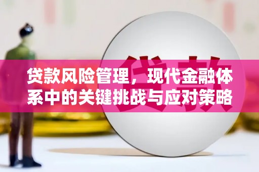 碌曲贷款风险管理，现代金融体系中的关键挑战与应对策略