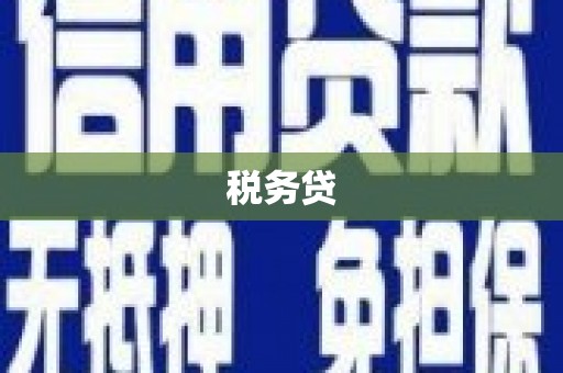 碌曲税务贷