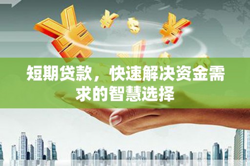 碌曲短期贷款，快速解决资金需求的智慧选择