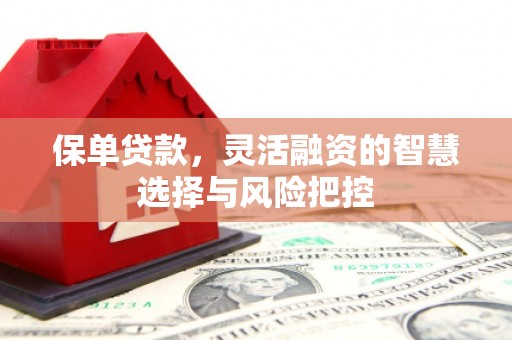 碌曲保单贷款，灵活融资的智慧选择与风险把控