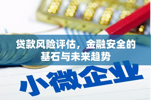 碌曲贷款风险评估，金融安全的基石与未来趋势