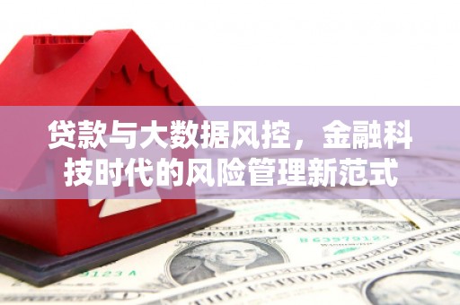 碌曲贷款与大数据风控，金融科技时代的风险管理新范式