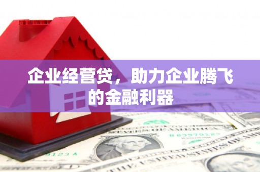碌曲企业经营贷，助力企业腾飞的金融利器