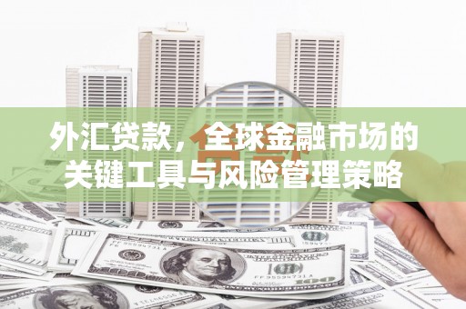 碌曲外汇贷款，全球金融市场的关键工具与风险管理策略