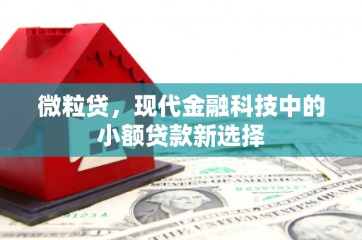 碌曲微粒贷，现代金融科技中的小额贷款新选择