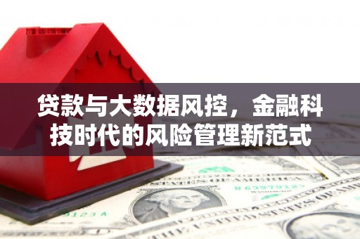 碌曲贷款与大数据风控，金融科技时代的风险管理新范式