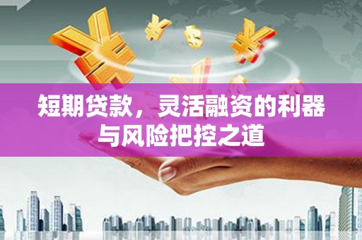 碌曲短期贷款，灵活融资的利器与风险把控之道