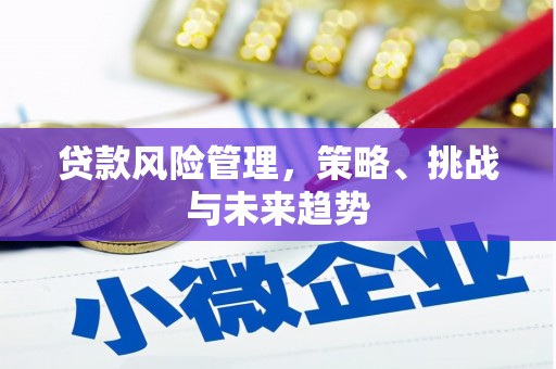 碌曲贷款风险管理，策略、挑战与未来趋势