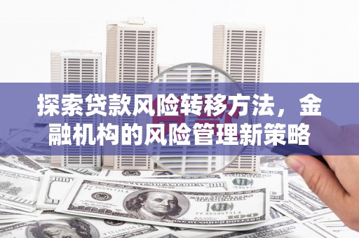碌曲探索贷款风险转移方法，金融机构的风险管理新策略
