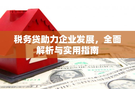 碌曲税务贷助力企业发展，全面解析与实用指南