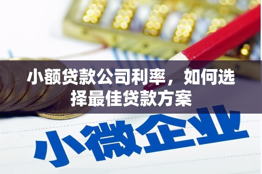 碌曲小额贷款公司利率，如何选择最佳贷款方案