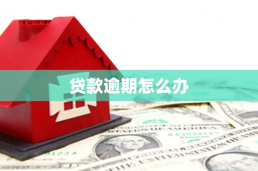碌曲贷款逾期怎么办