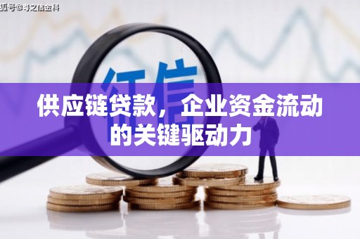 碌曲供应链贷款，企业资金流动的关键驱动力