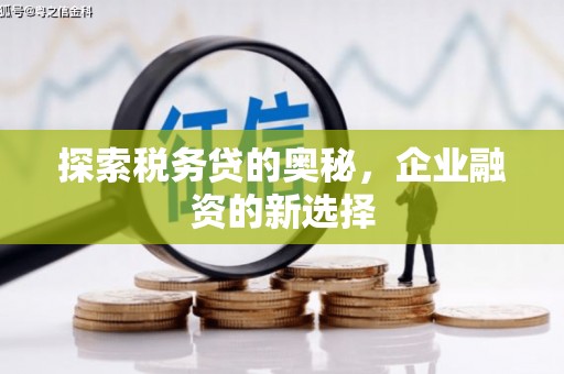 碌曲探索税务贷的奥秘，企业融资的新选择