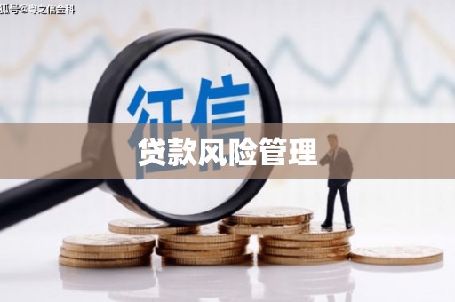 碌曲贷款风险管理