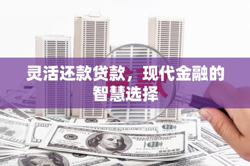 碌曲灵活还款贷款，现代金融的智慧选择