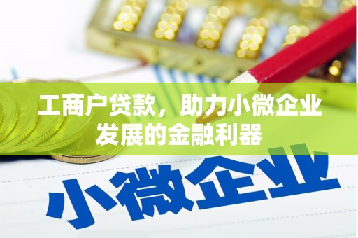 碌曲工商户贷款，助力小微企业发展的金融利器