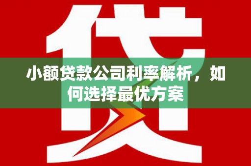 碌曲小额贷款公司利率解析，如何选择最优方案