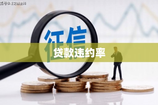 碌曲贷款违约率