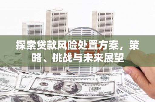 碌曲探索贷款风险处置方案，策略、挑战与未来展望