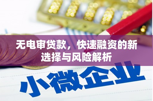 碌曲无电审贷款，快速融资的新选择与风险解析