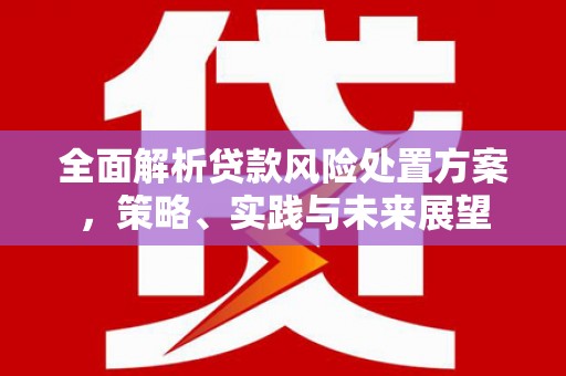 碌曲全面解析贷款风险处置方案，策略、实践与未来展望