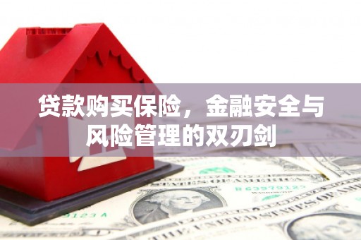 碌曲贷款购买保险，金融安全与风险管理的双刃剑