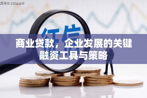 碌曲商业贷款，企业发展的关键融资工具与策略
