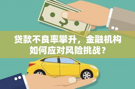 碌曲贷款不良率攀升，金融机构如何应对风险挑战？