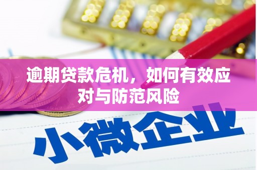 碌曲逾期贷款危机，如何有效应对与防范风险