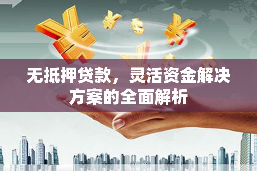 碌曲无抵押贷款，灵活资金解决方案的全面解析