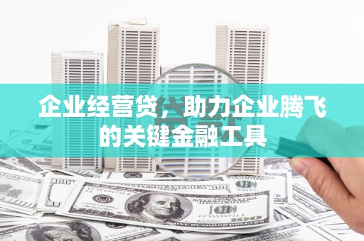 碌曲企业经营贷，助力企业腾飞的关键金融工具